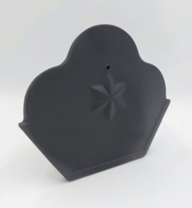 Zakończenie gąsiora początkowe Roben Antracyt