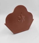 Zakończenie gąsiora początkowe FCB Roben Miedziany